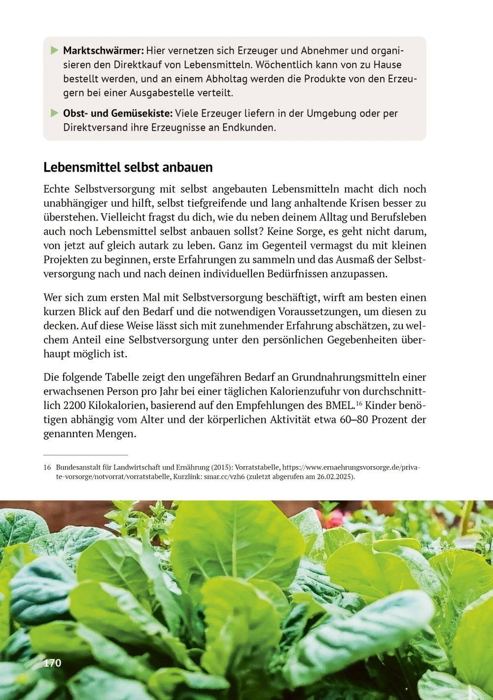 Lebensmittel, Gemüse, Buchseite, Text, Fotografie