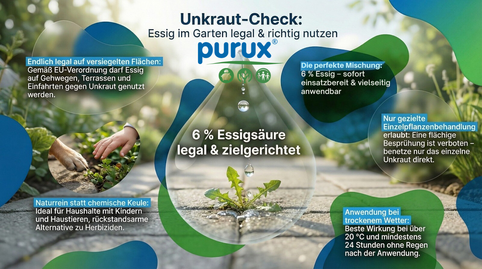 essig, unkraut, garten, essigsäure, 6%, Essigsäure, Unkrautmittel, Garten, 6% Essigsäure, ökologische Anwendung